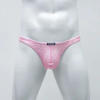 new sexy mens underwear lace briefs transparent breathable low waist pants man t back male cuecas calzoncillos hombre