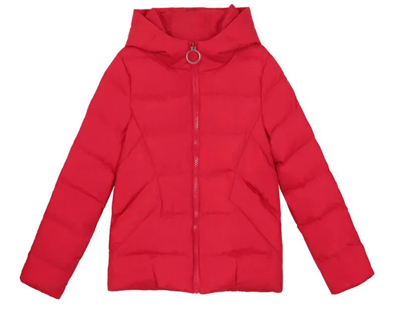 Осенне зимняя куртка Женское пальто 2019 модная женская со стоячим воротником