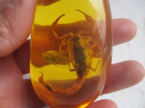 

Elaborate Chinese artificial amber scorpion necklace pendant