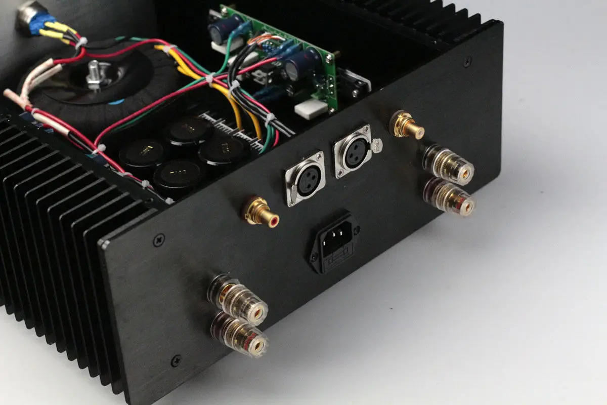 ZEROZONE готовый нулевой зонный стерео PASS AM V15 10 Вт + класс A усилитель мощности L5