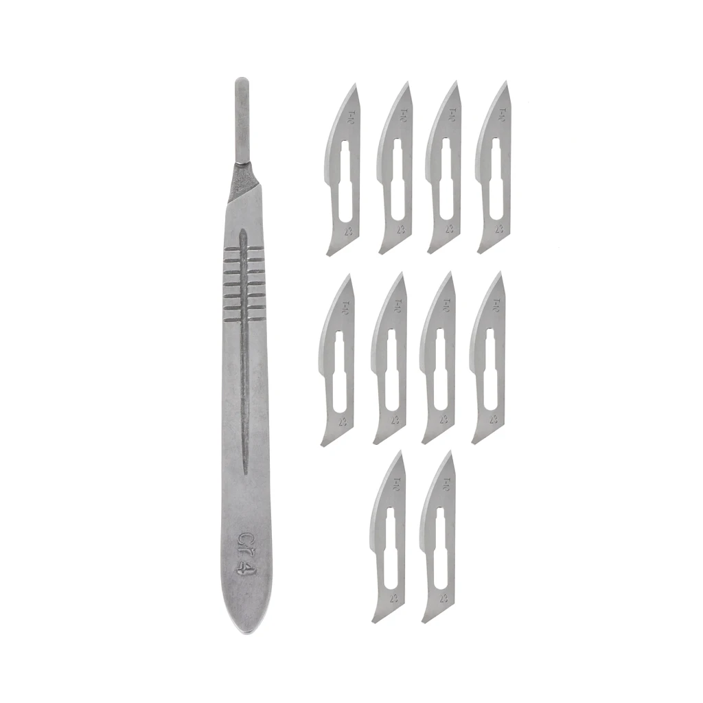 

Succulent Plants Pruning Knife Gardening Bonsai Tools Cuttings Transplant Blade
