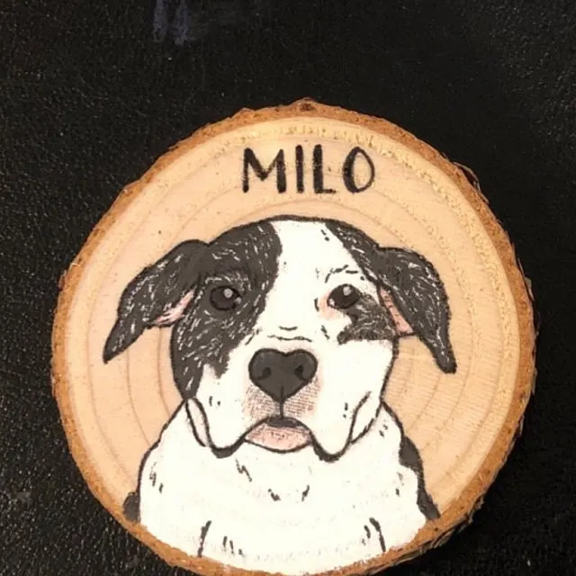 Семейные магниты для домашних животных мультяшная живопись кухонные