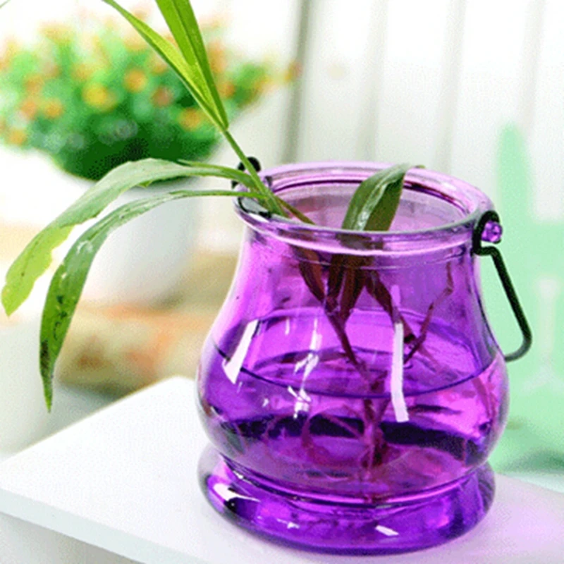 2 шт./пакет декоративные вазы большая инфузионная сумка или бутылка гидропонный