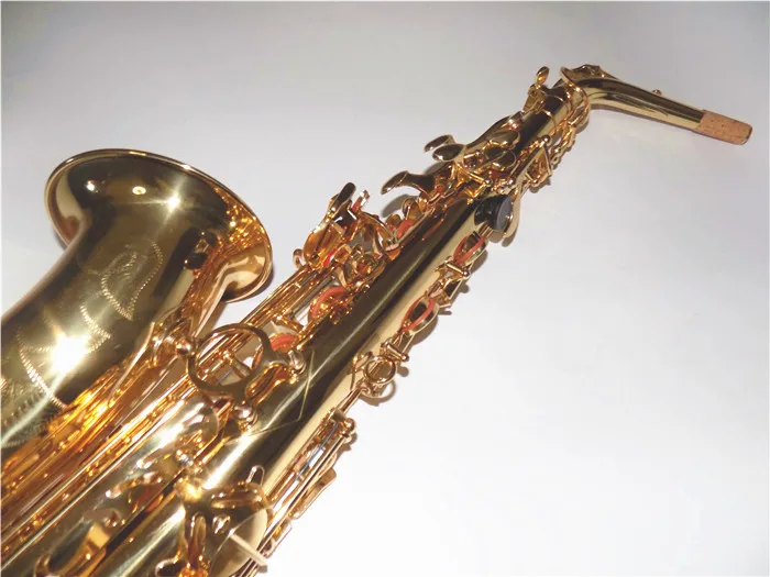 

Eb Alto Saxophone with ABS case Brass Body Gold Lacquer instrumento musical professional