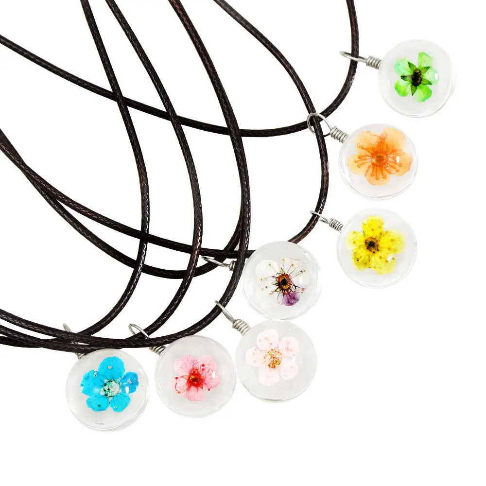 Многоцветный простой Террариум хрустальный стеклянный шар кулон с высушенным