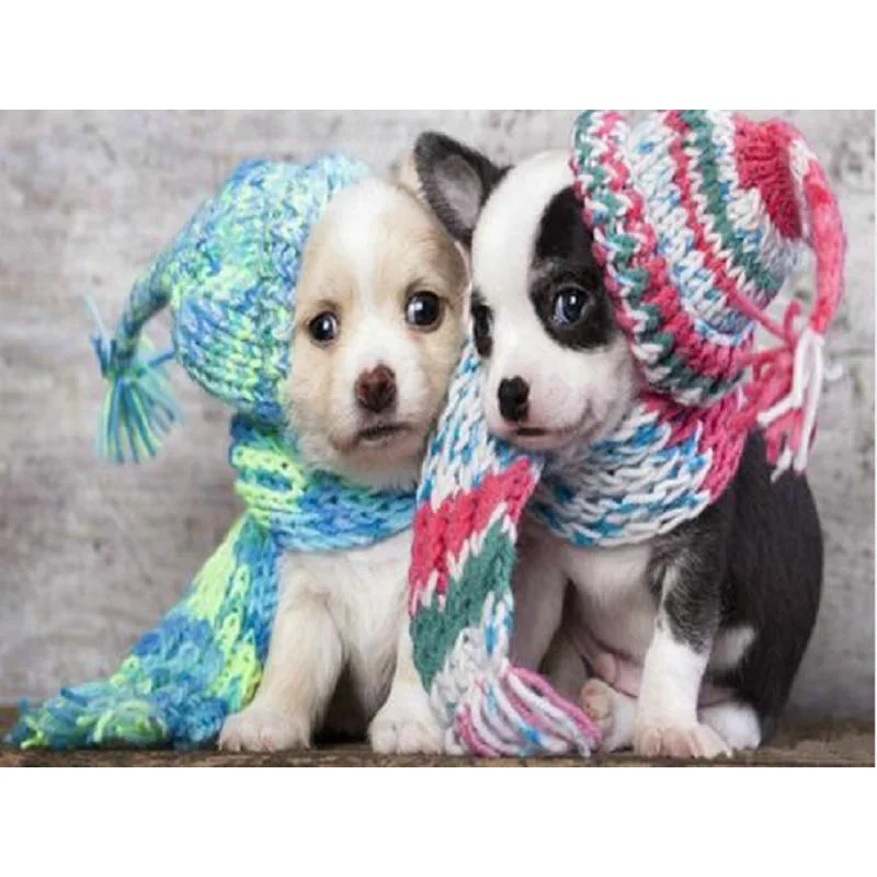 

YIKEE diamond painting Small milk dog,cross stitch diamond,diamond mosaic paintings K881
