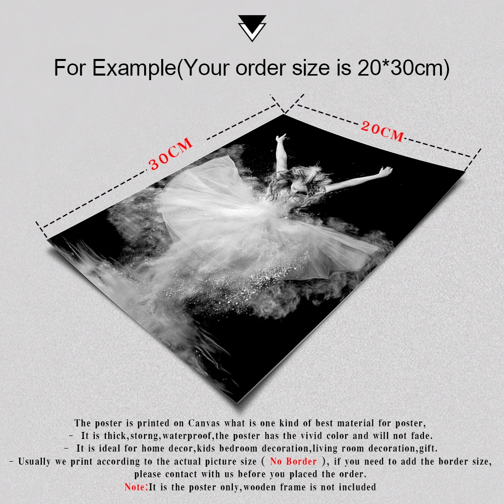 Черный и белый элегантный балетный танец печать плакатов фото Nordic Стиль портрет