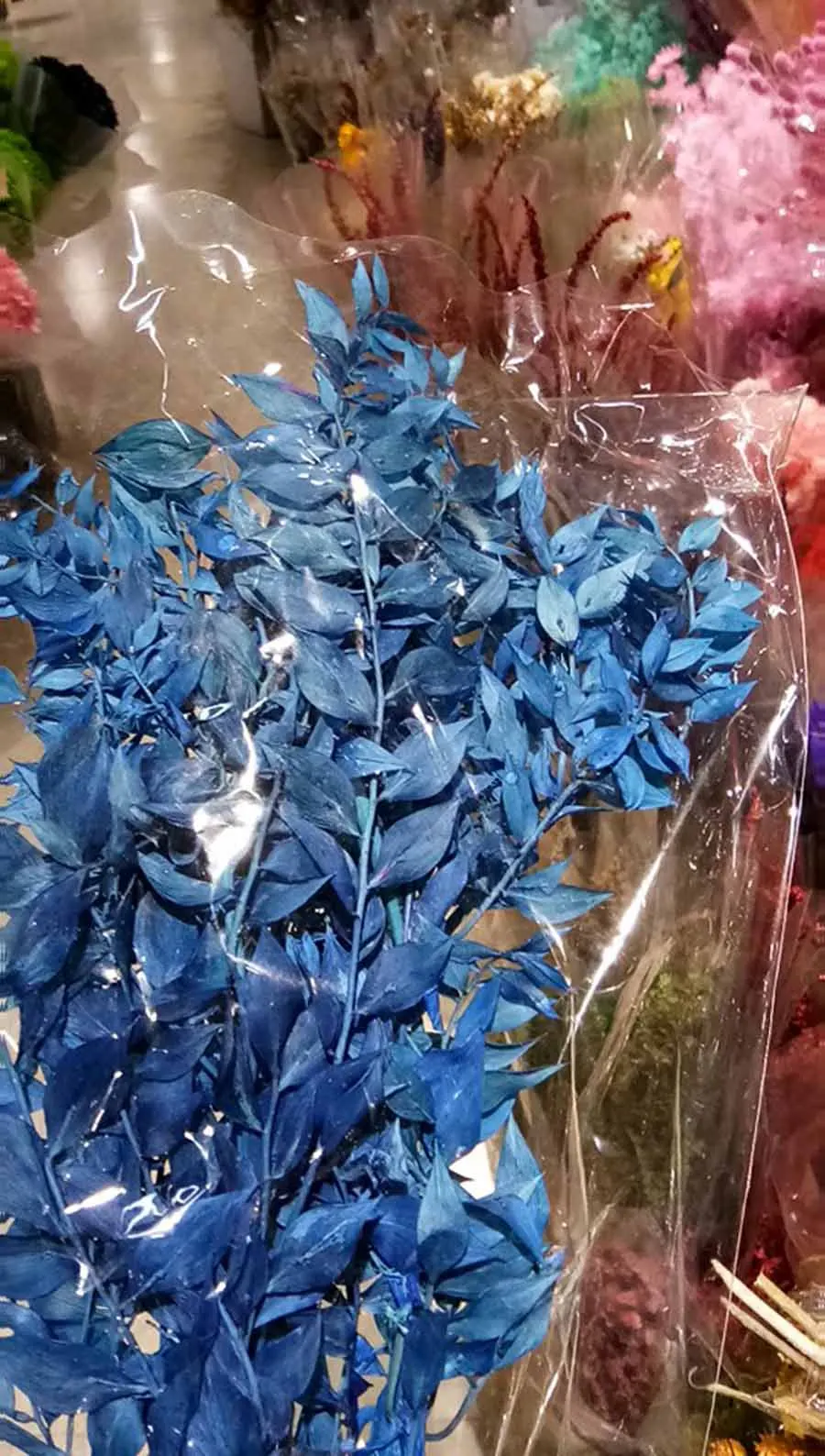 Blue 1 пачка консервированные сушеные листья рускуса ветка для рукоделия подарок Материал аксессуар украшение цветок Организация DIY - Цвет: Blue