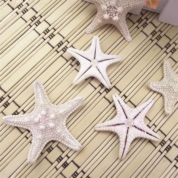 5 шт./лот натуральные ремесла белый хлеб Морская ракушка звезда модные домашние