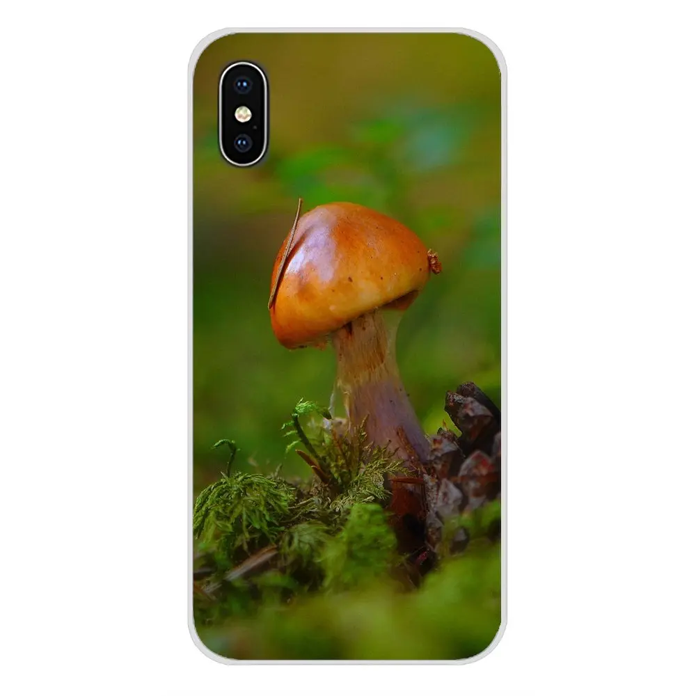 Растительный красный гриб для Samsung Galaxy S3 S4 S5 Mini S6 S7 Edge S8 S9 S10 Lite Plus Note 4 5 8 9 Аксессуары