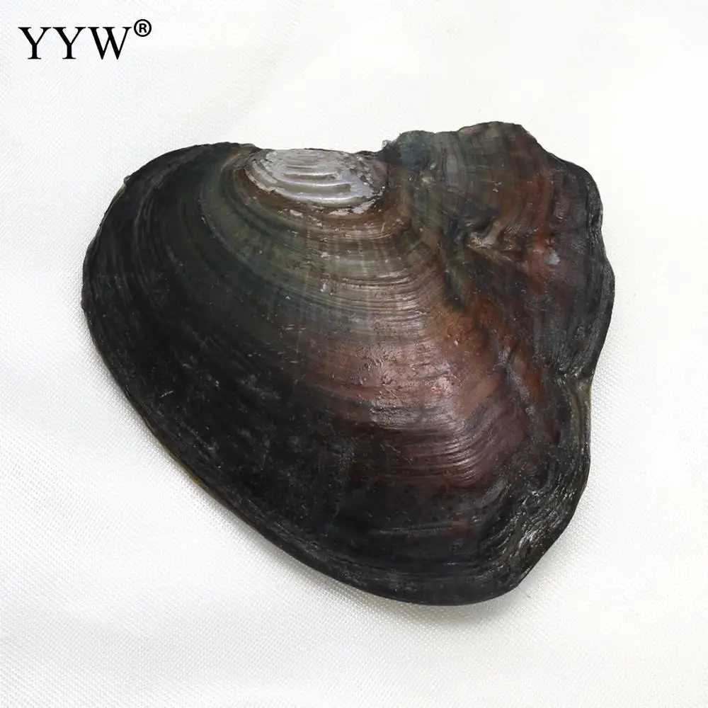 

10pcs Pearl In One Oyster Mixed Colors Freshwater Cultured Love Wish Pearl Oyster Freshwater Pearl Beads 7-8mm Vacuum Packing