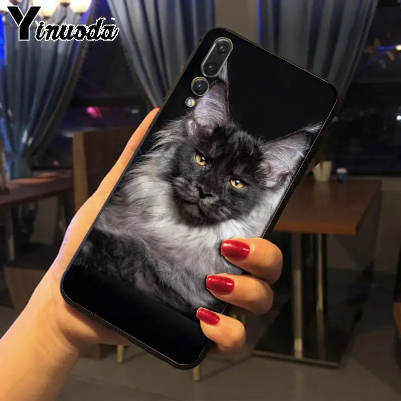 Yinuoda pet maine coon cat черный мягкий силиконовый чехол для телефона huawei p20 pro p20lite mate10pro nova
