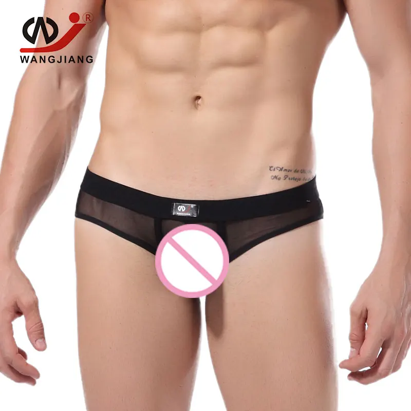 Трусы брифы мужские прозрачные нейлоновые 5 шт./лот|mens nylon briefs|nylon briefssexy gay mens underwear |