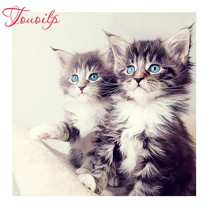 Алмазная 5D Вышивка сделай сам Набор для вышивки двойные кеты круглые стразы