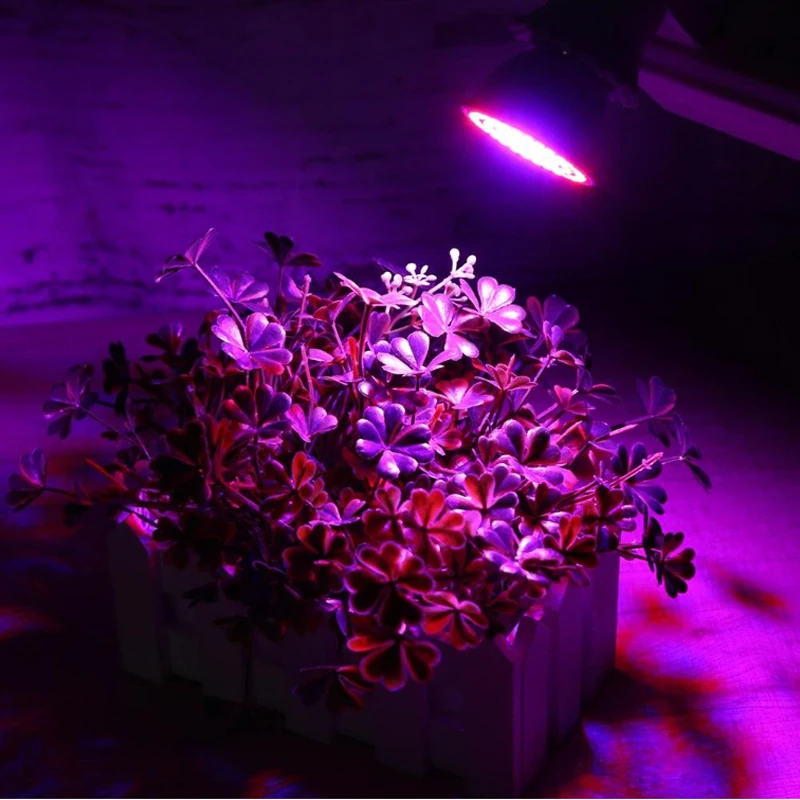 Yabstrip светодиодный Grow светильник красный синий SMD2835 48 Светодиодный s E27 лампы 220V