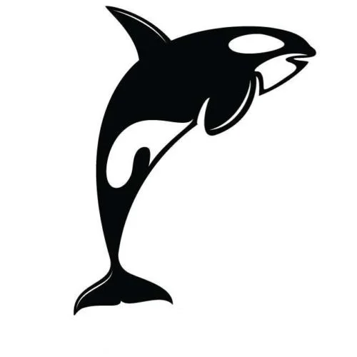 

ORCA KILLER WHALE window DECAL STICKER 14x11cm