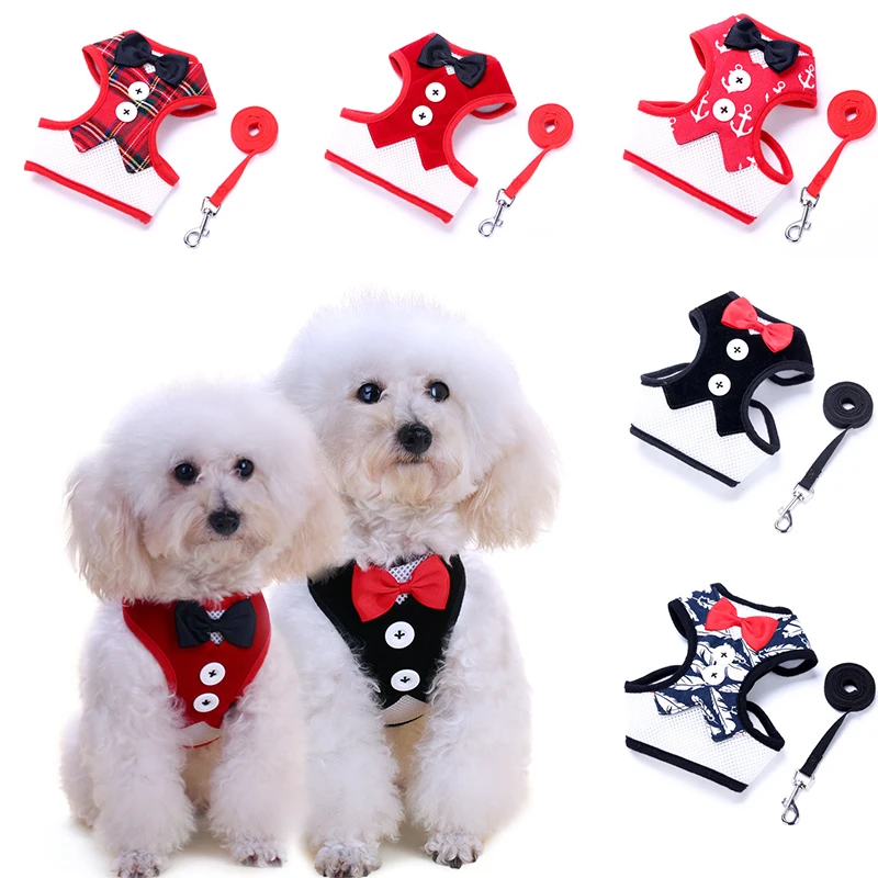 Cat жилетик для маленькой собаки Лук Вечернее платье пусть ошейник с ремешком