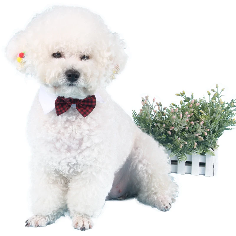 Плед кошки собака галстук свадебные аксессуары собаки бабочка воротник