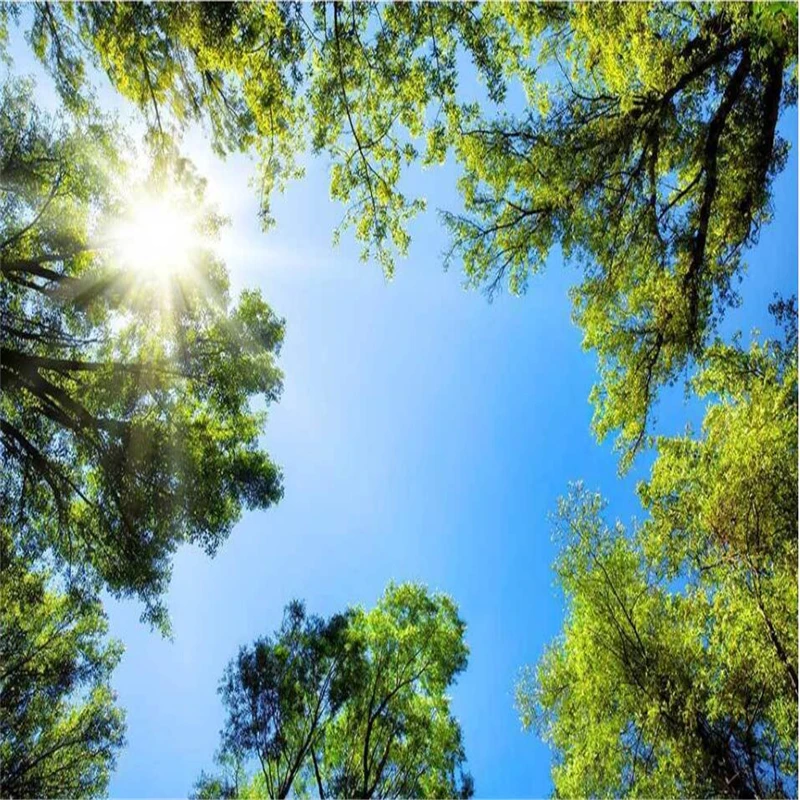 Wellyu Dream Forest Sky HD естественная сцена TV на заказ Большие Настенные зеленые обои |