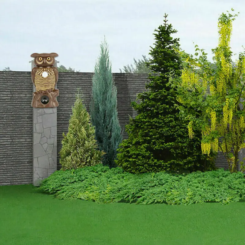 Сова оповещение статуя Совы без пестицидов Ультразвуковой Отпугиватель