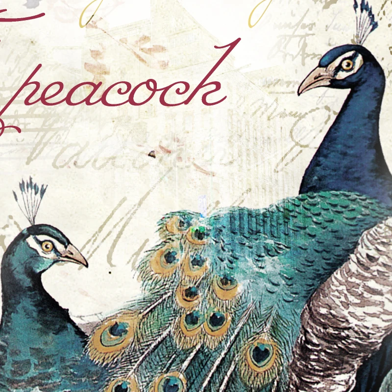 JiaSheMeiJu Photo Wall Paper 3D Vintage Wallpaper Peacock Letter TV Background Brand Mural Wallpapers Bedroom Home Decor | Обустройство