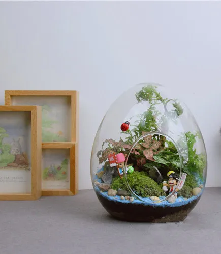 Стеклянная ваза в форме яйца 6 шт. | Дом и сад