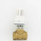 Термостат с регулятором радиатора, термостатический редиторный клапан, прямой клапан, 2-ходовой латунный клапан, термостатический головной радиатор DN20 DN25