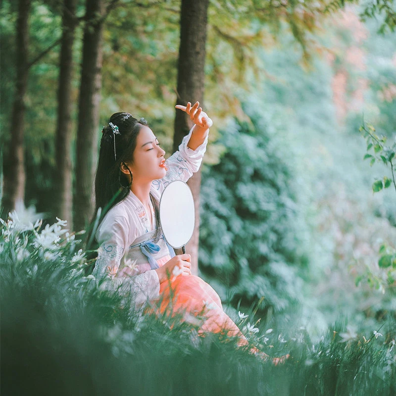 

Hanfu Women Chinese Ancient Costume Festival Outfits Hanfu Dress Traditional Chinese Dance Costumes Stage Wear Dress DQS1650