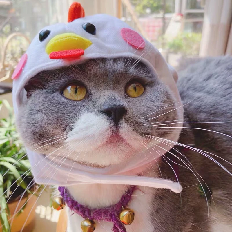 Милая мультяшная шапка ZZC07 для цыплят собак кошек головной убор французский