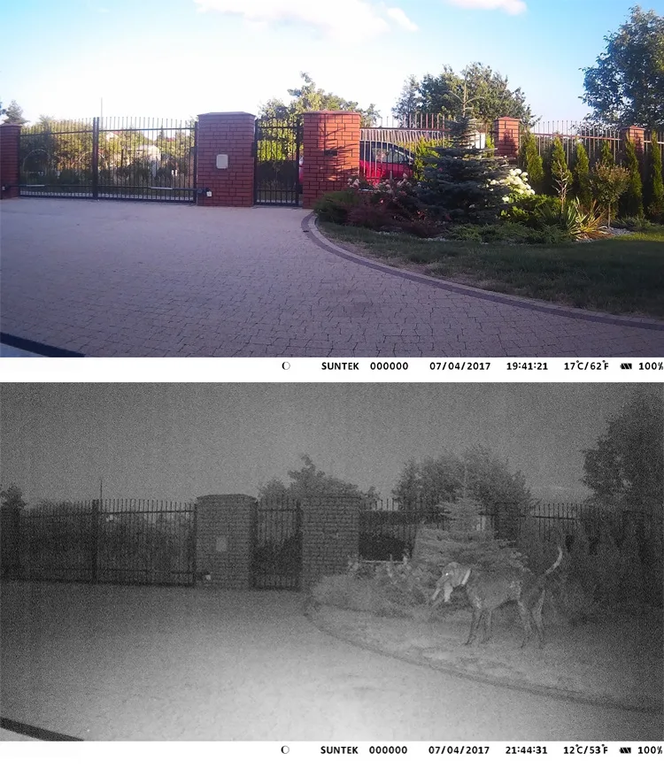 16MP фото-ловушки Email MMS GSM 1080 P ночного видения охотничья ловушка HC300M дикая охотничья камера Trail камера Дикая природа камера Chasse