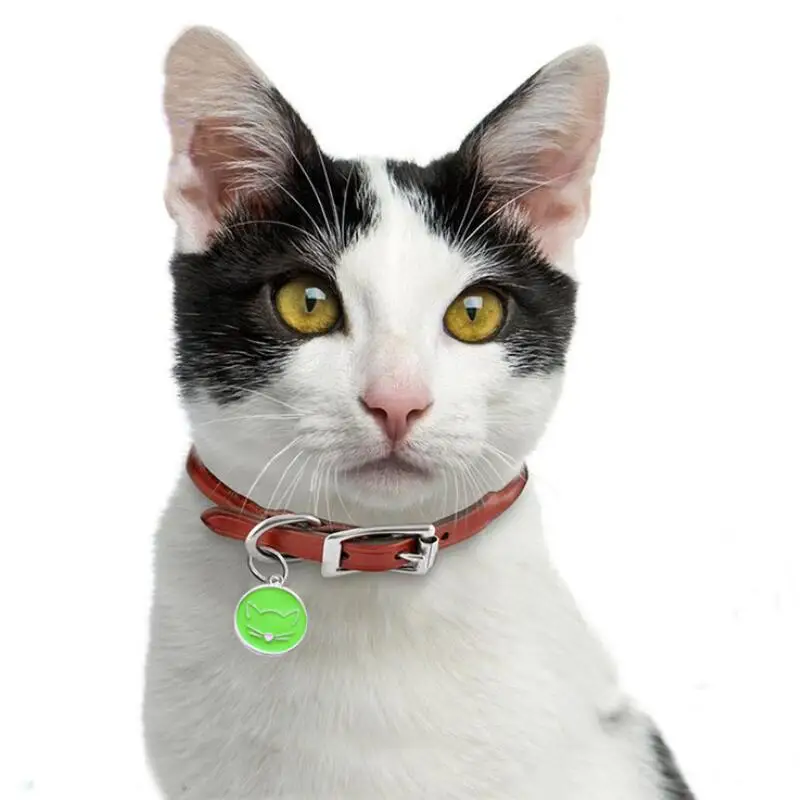 Бирки для собак с гравировкой идентификационное название кошек и щенков