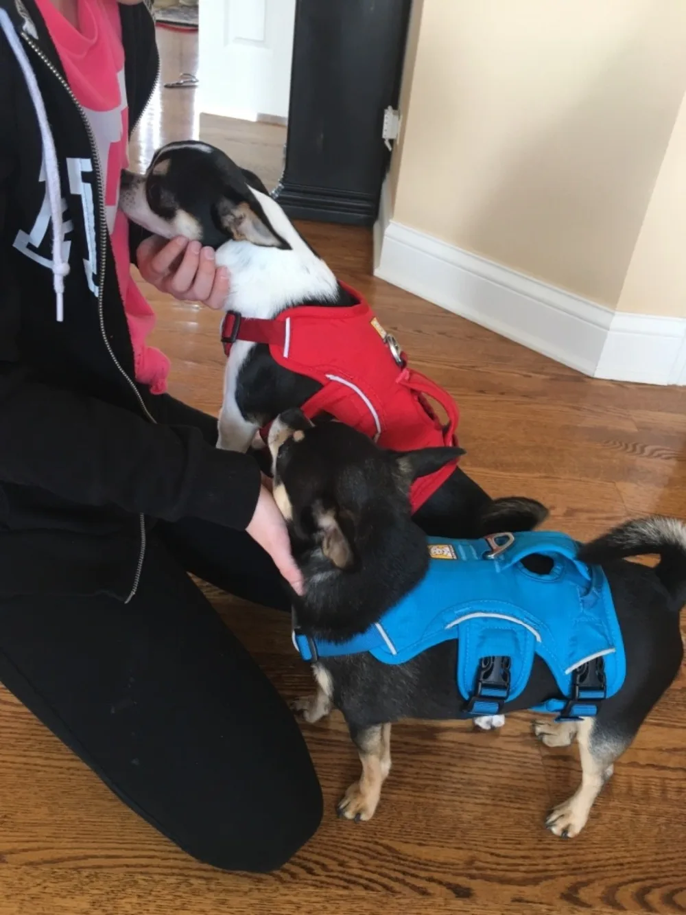 RUFFWEAR веб-мастер жгут