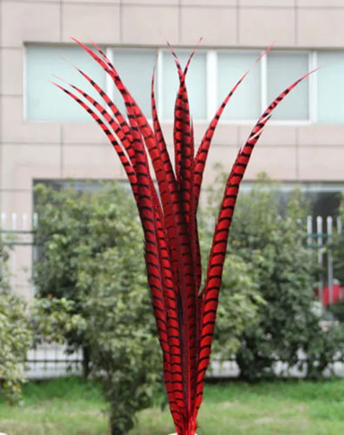 

Wholesale 50 pcs red rare golden pheasant tail feather 36-40 inches / 90-100 cm show party decoration