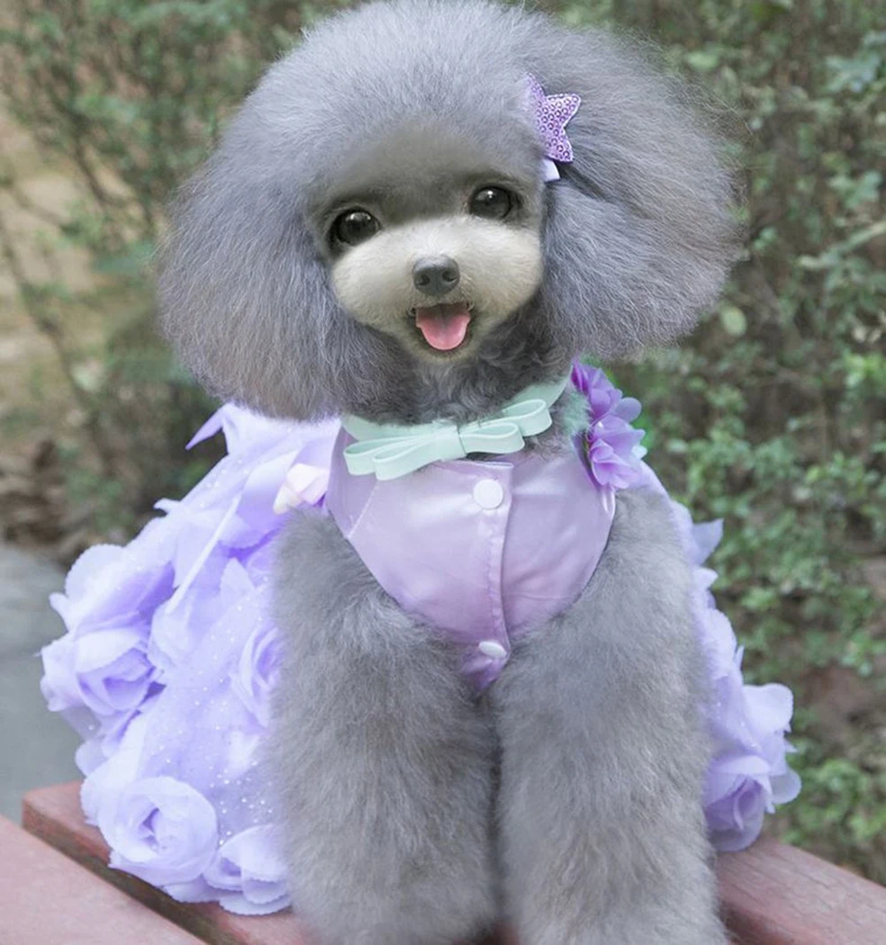 Legendog собачье свадебное платье Одежда для собак девочек подружек невесты Pet Костюмы Чихуахуа Пудель Йоркширский терьер костюм
