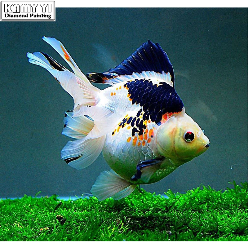 

100% Full 5D Diy Daimond Painting Beautiful Fish 3D Diamond Painting Full Round Rhinestones Diamant Painting Embroidery Decor