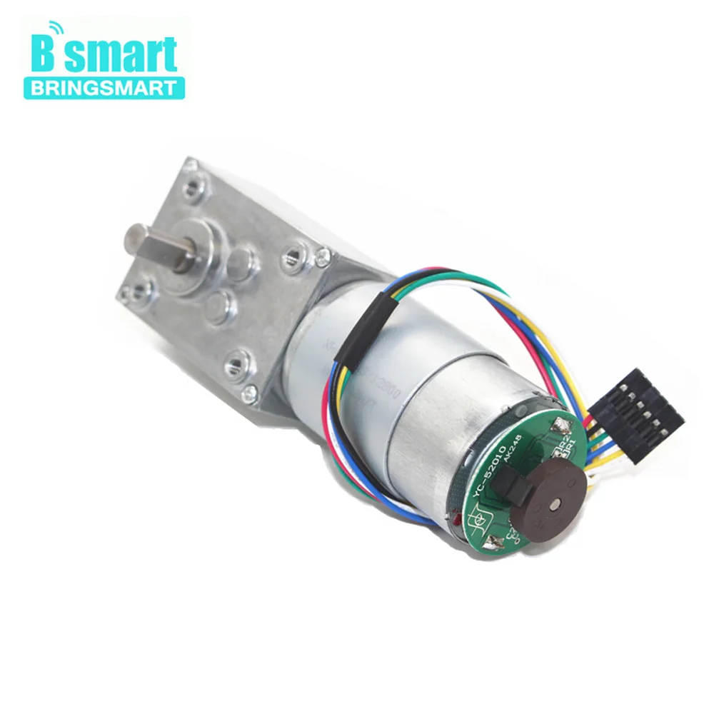 Электродвигатель червячного редуктора Bringsmart с двумя стержнями модель 5840-555B 24 В