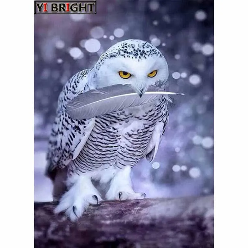 Full Diamond Embroidery 5D DIY Painting "Night Snow Owl" Cross Stitch Picture Of Mosaic Craft Home Decoration GT | Дом и сад
