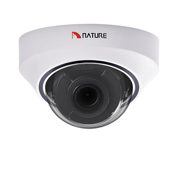 1080P 2MP IP камера ONVIF низкая цена видеонаблюдения Пластиковая купольная POE BNC Аудио
