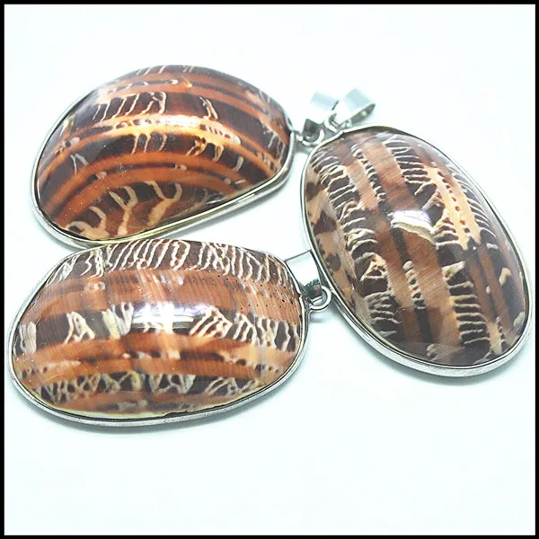 Подвески из ракушек cowrie red cowry натуральные медовые подвески морской воды океана