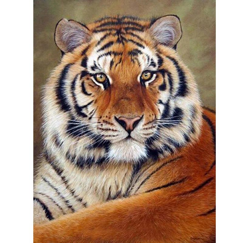 5d Diy Алмазная картина с животным тигром вышивка крестиком квадратные Стразы
