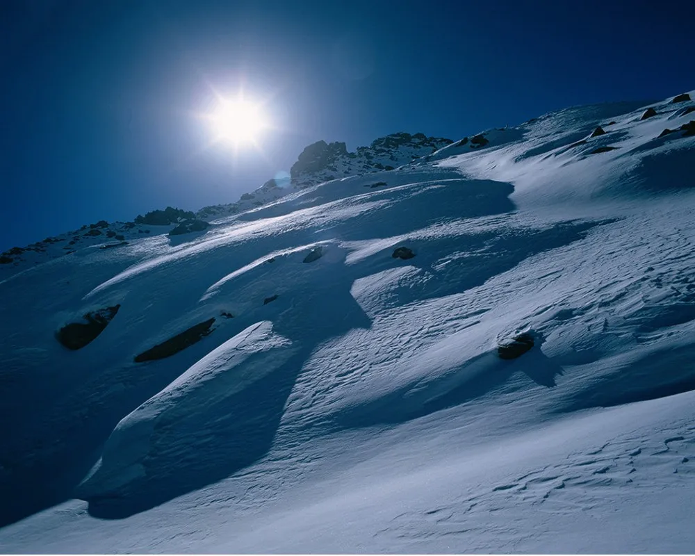 Бесплатная доставка роспись 3d индивидуальный современный Полярный мир пейзаж