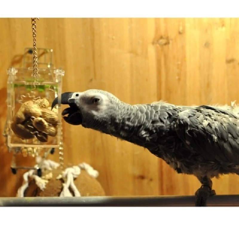 Попугай птица игрушки подвесная кормушка удовольствие для домашнего животного