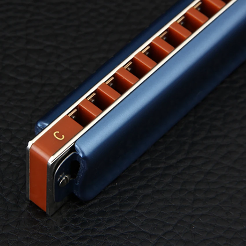 Diatonic Гармоника 10 отверстий ротовой орган музыкальный инструмент Блюз Harp C D E F G A Key