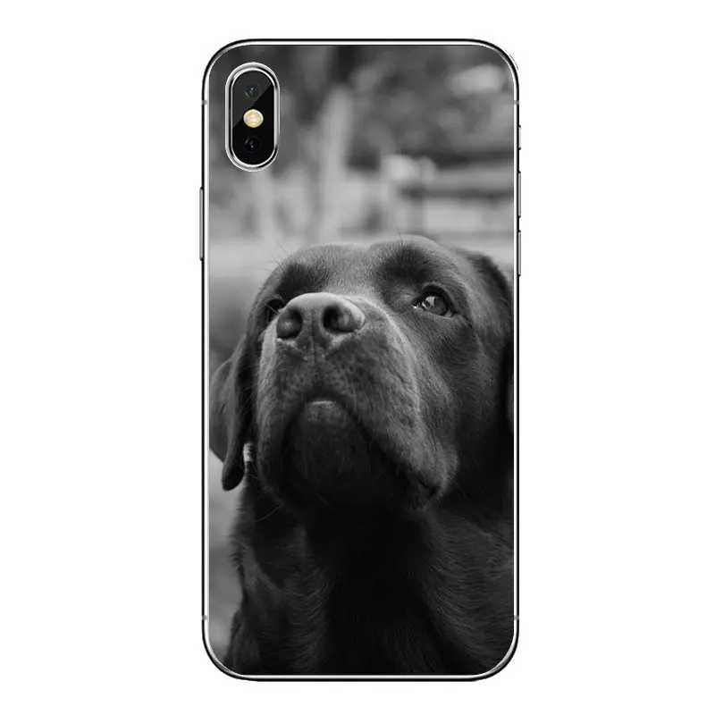 Забавные мягкие прозрачные чехлы для iPod Touch iPhone 4 4S 5 5S 5C SE 6 6S 7 8 X XR XS Plus MAX |