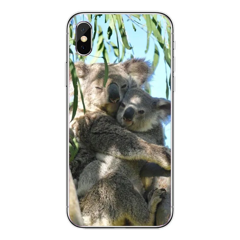 Мягкий ТПУ чехол для сотового телефона с забавными животными коала iPhone 11Pro 8 7 6 6S