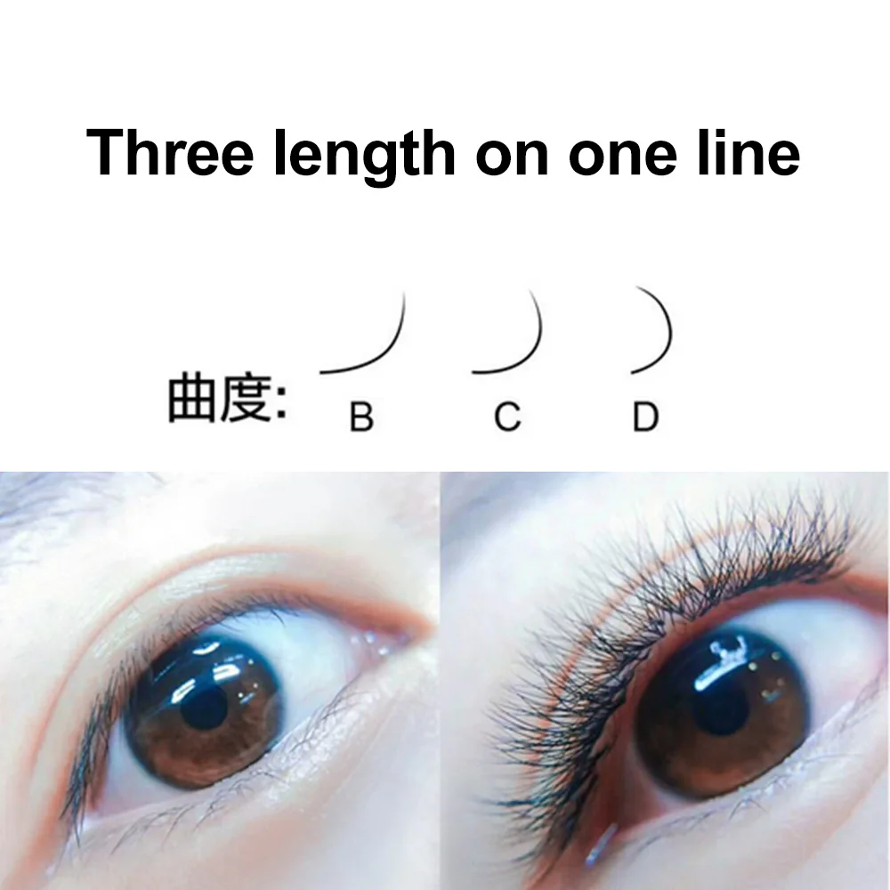 New material 12 rows Volume Eyelash Extensions Mixed Length in One Lash Strip Camellia Pandora Eyelashes | Красота и здоровье