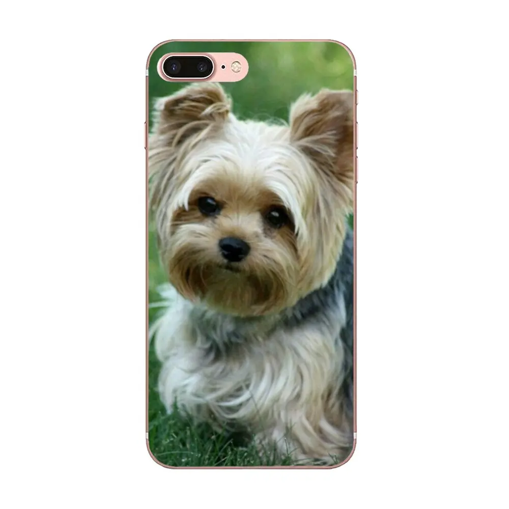 Термополиуретановый чехол для Galaxy Alpha Core Note 2 3 4 S2 A10 A20 A20E A30 A40 A50 A60 A70 M10 M20 M30 |