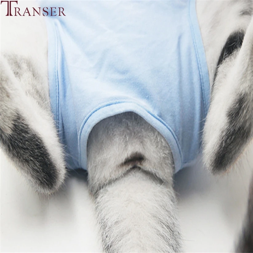 Трансер Pet Cat медицинский уход Костюм Мягкая Хирургическая Одежда для питомцев Китти Кошки рубашка пальто жилет поставка продуктов для домашних животных 90611