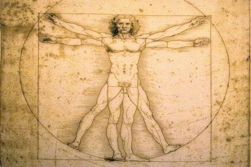 Фотообои Da Vinci Vitruvian Man 3D обои для стен ТВ фон|wallpaper fashion|wallpaper todaywallpaper modern |