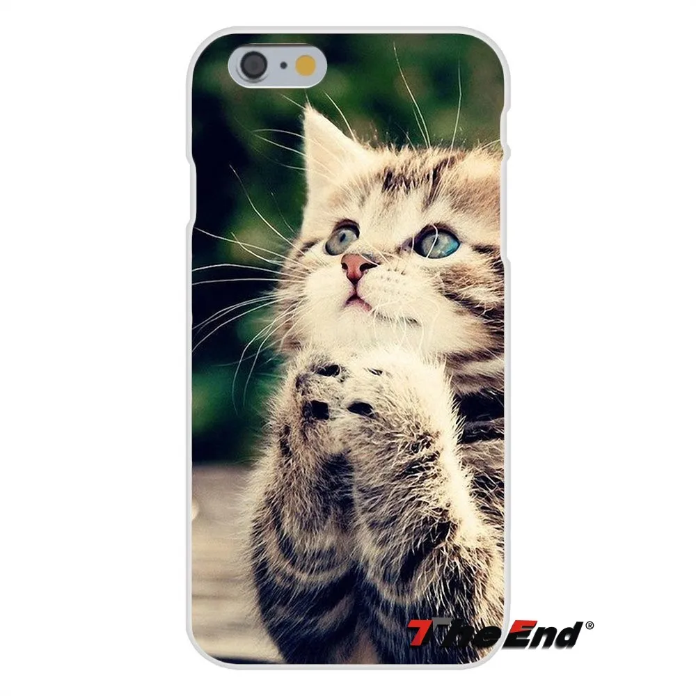Милый молящийся котята коты для Samsung Galaxy S3 S4 S5 MINI S6 S7 edge S8 Plus Note 2 3 4 5 Мягкий